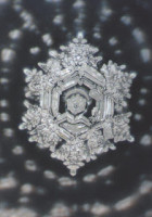 water crystal after the prayer