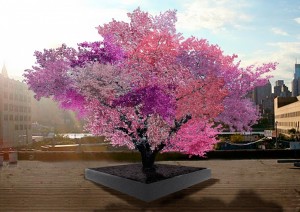 tree-of-forty-fruit