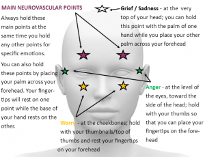 neurovascualr points front