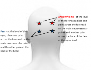 neurovascular points back